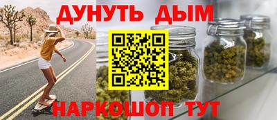 прущие грибы Краснодар