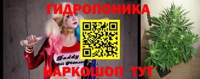индика Краснокаменск