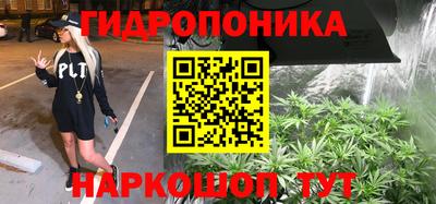 прущие грибы Краснодар