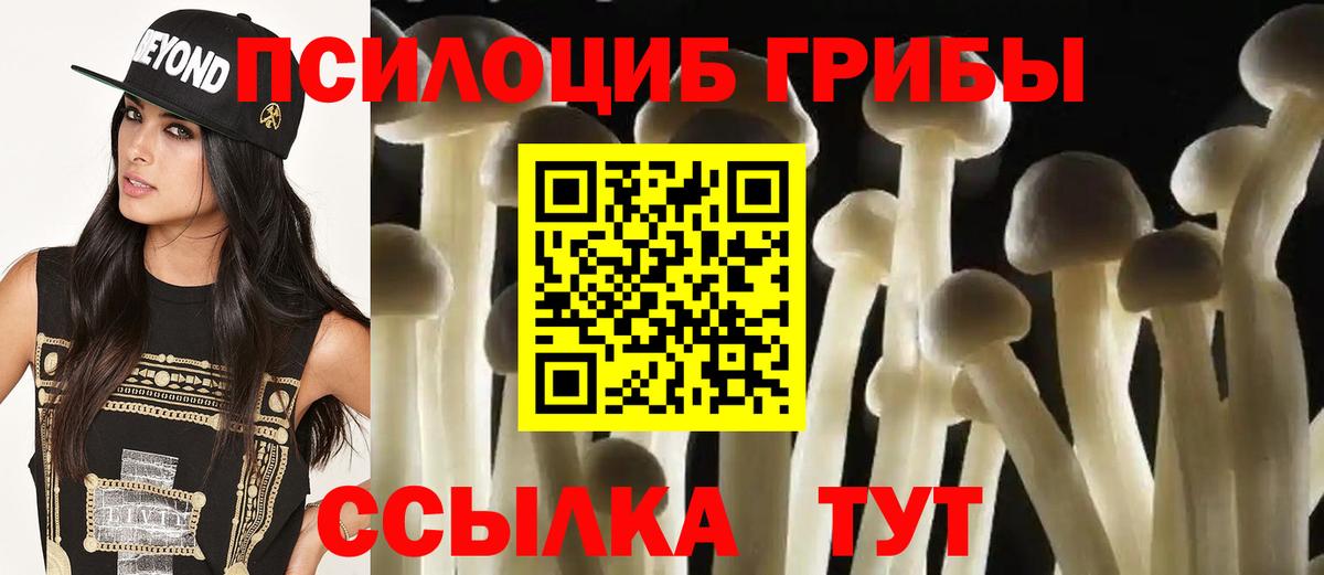 Галлюциногенные грибы мицелий Бирск