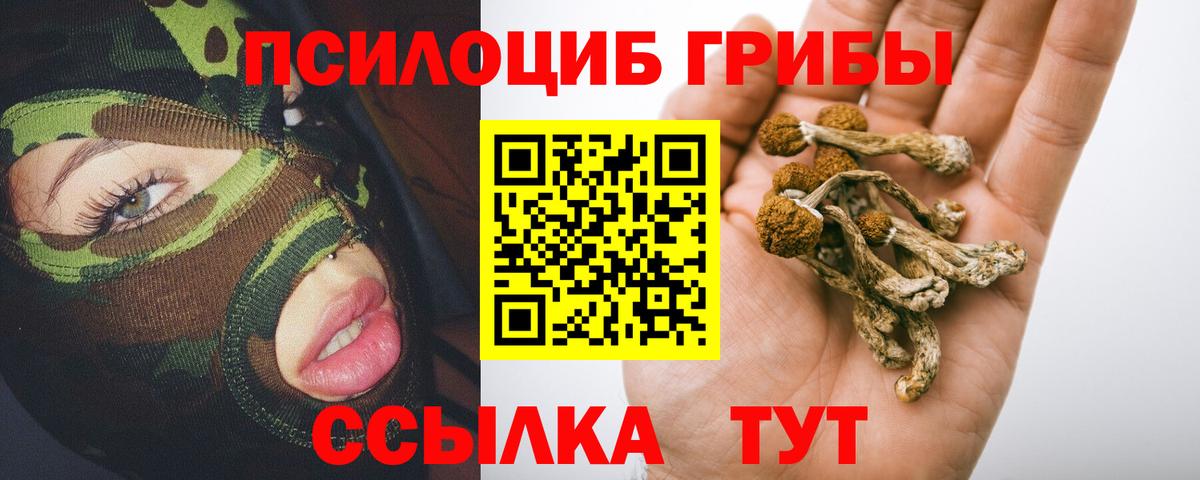Галлюциногенные грибы GOLDEN TEACHER  наркота  Галлюциногенные грибы мухоморы  Бирск  Вход с VPN 